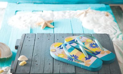 Summer background. Wooden background with white sand and seashells.Shells, starfish and sand. Holiday background